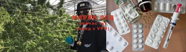 каннабис Алзамай