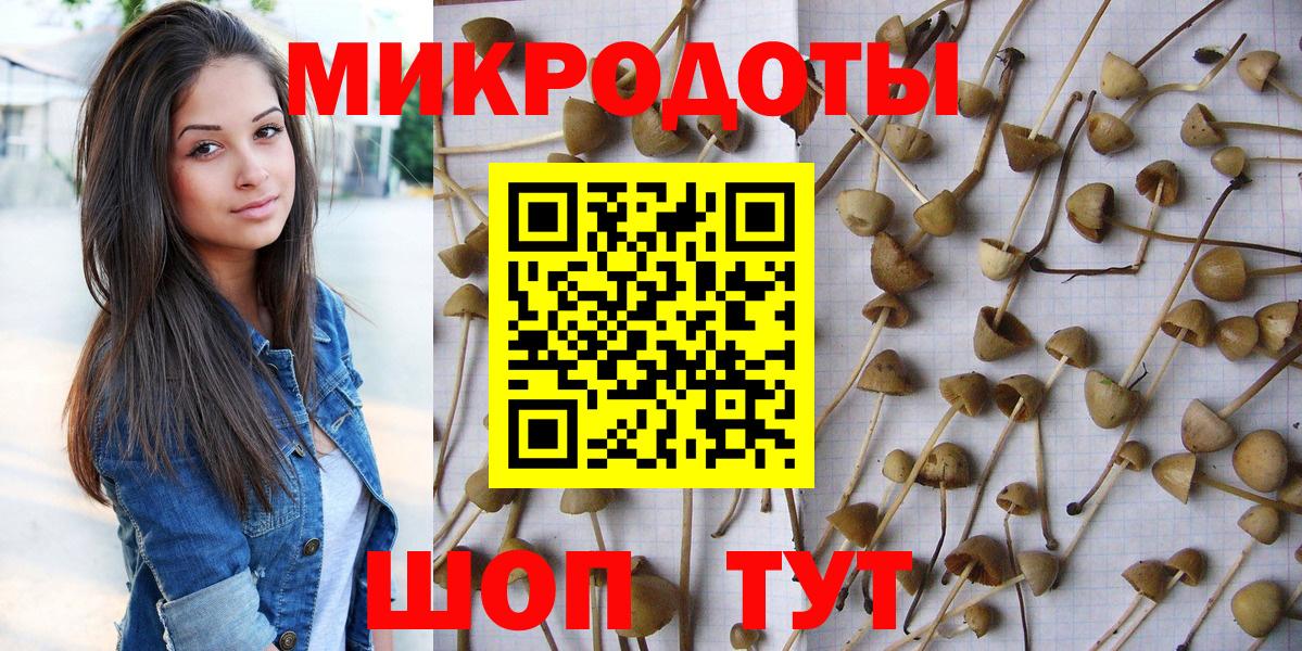 Галлюциногенные грибы ЛСД  Вход с VPN  Галлюциногенные грибы Psilocybe  даркнет сайт  Владимир 