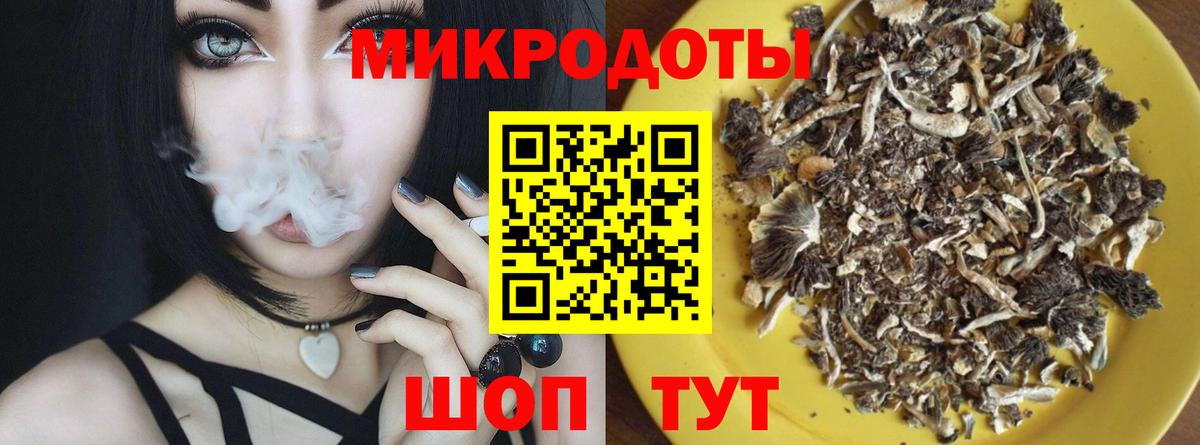 Псилоцибиновые грибы мицелий Владимир